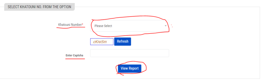 Khatauni number, then visit the Punjab land record