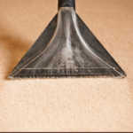 Essential Reasons to Invest in Professional Carpet Cleaning for Your Home