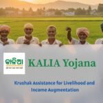 KALIA Yojana